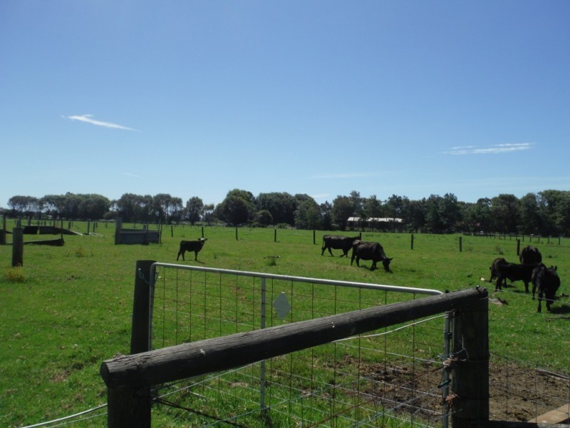 305 Fullerton Cove, Fullerton Cove NSW 2318