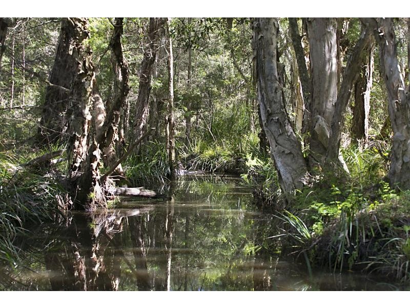 442 Italia Road, East Seaham NSW 2324