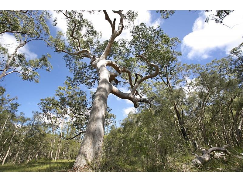 442 Italia Road, East Seaham NSW 2324