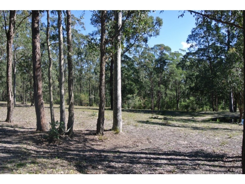 40 Redgum Drive, Clarence Town NSW 2321