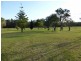 426 Swan Bay Road, Swan Bay NSW 2324