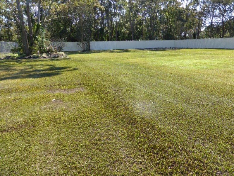 586 Cabbage Tree Road, Williamtown NSW 2318