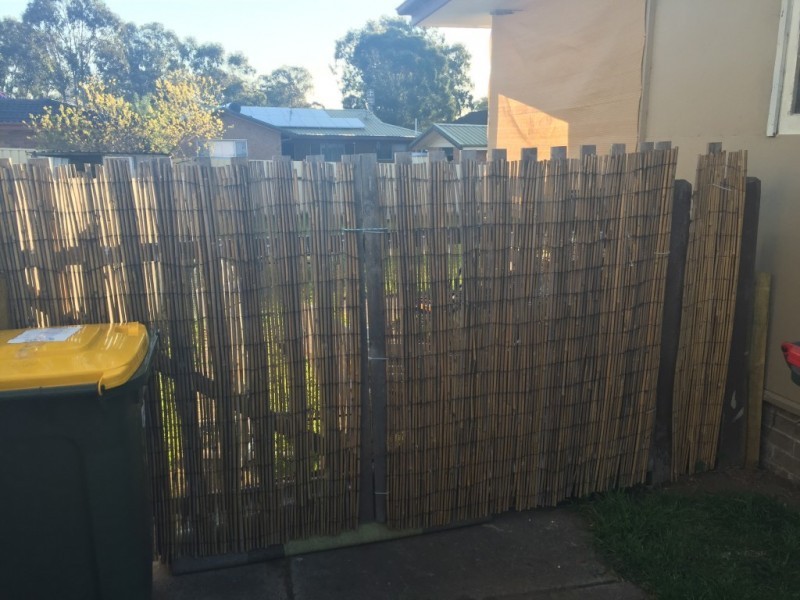 59 Brown Street, Raymond Terrace NSW 2324