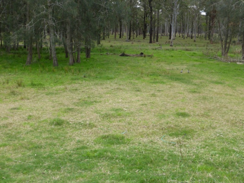 537 Tarean Road, Karuah NSW 2324