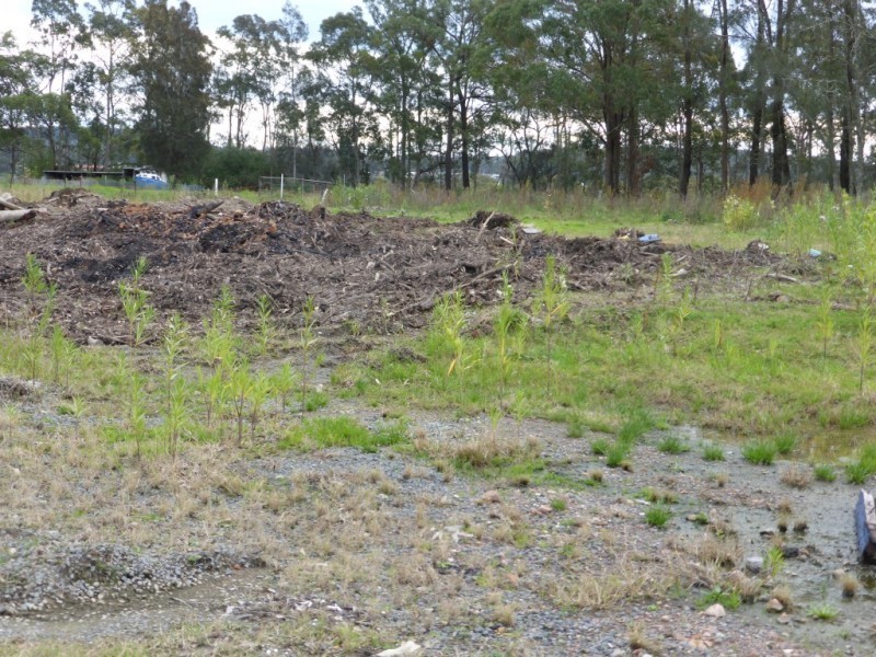 537 Tarean Road, Karuah NSW 2324