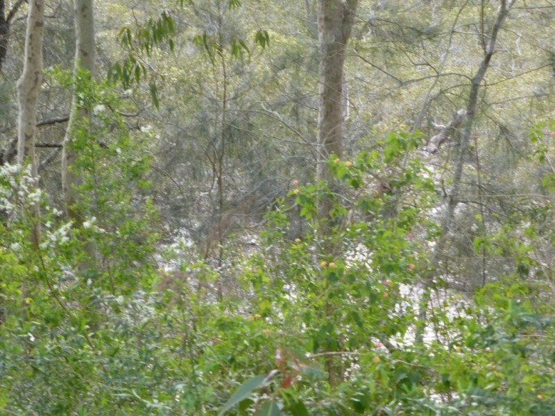 537 Tarean Road, Karuah NSW 2324