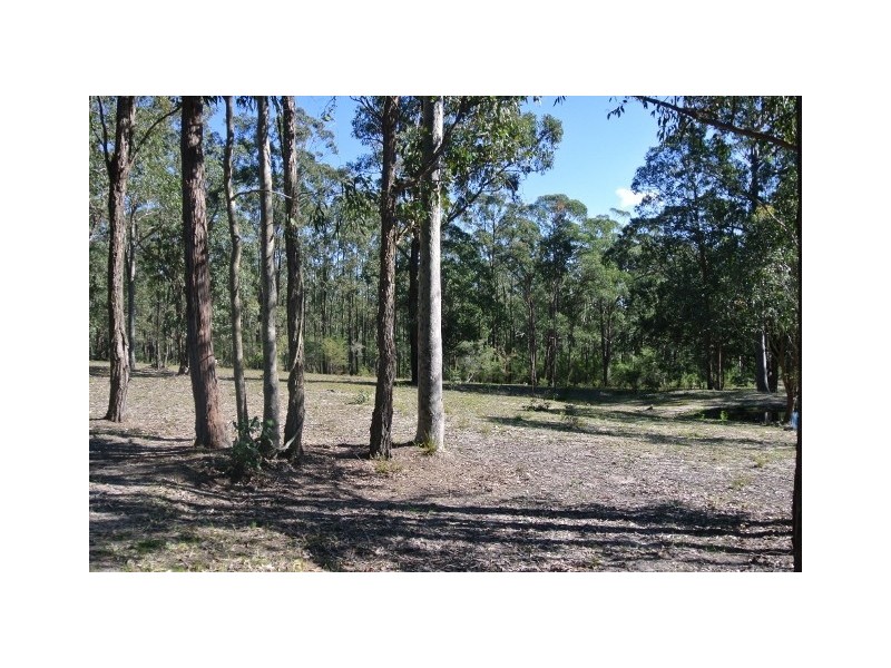 40 Redgum Drive, Clarence Town NSW 2321