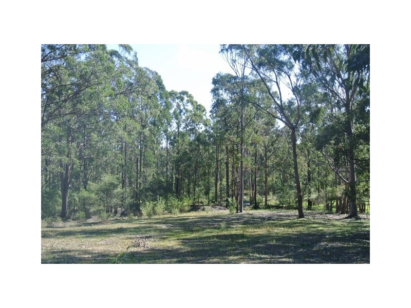 40 Redgum Drive, Clarence Town NSW 2321