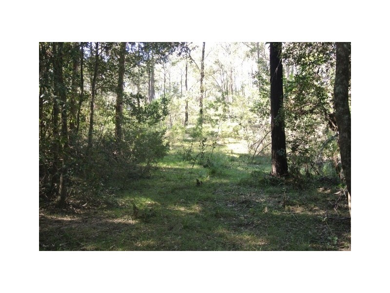 40 Redgum Drive, Clarence Town NSW 2321