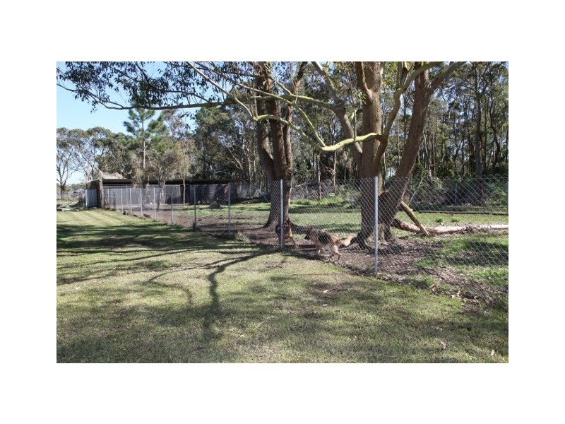 586 Cabbage Tree Road, Williamtown NSW 2318