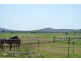 367 Seaham Road, Nelsons Plains NSW 2324