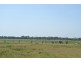 367 Seaham Road, Nelsons Plains NSW 2324