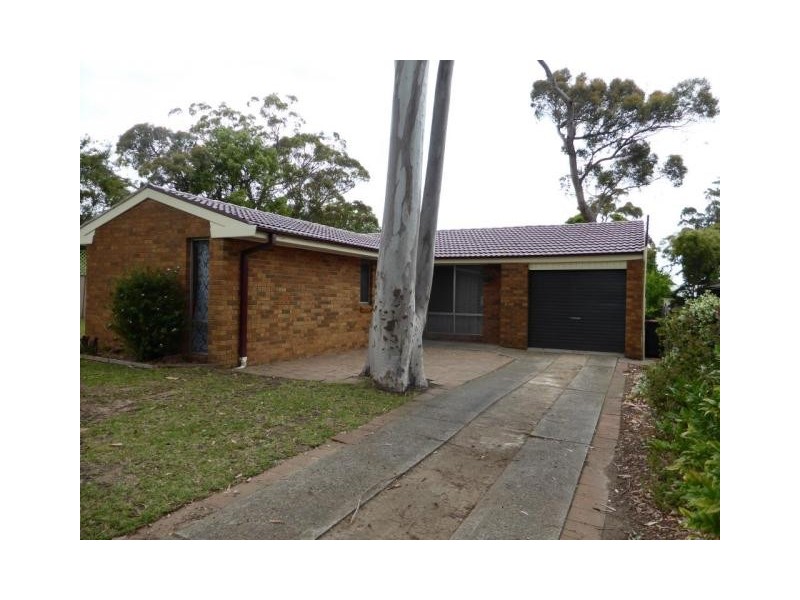 36 Silverwattle Drive, Medowie NSW 2318