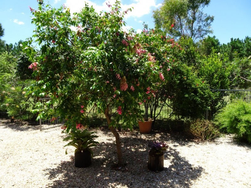 15 Greenslopes Drive, Raymond Terrace NSW 2324