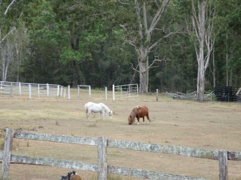 160 Six Mile Road, Eagleton NSW 2324