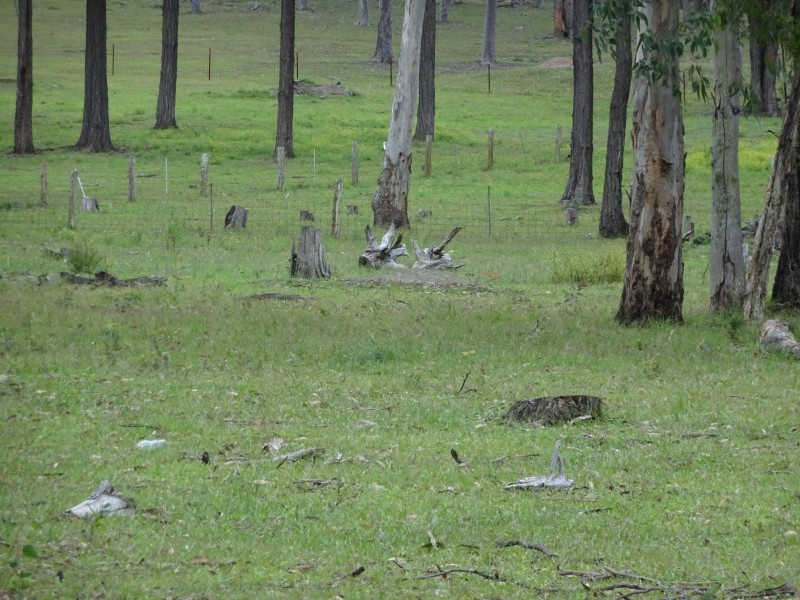 Lot Lot 32, 33 Forest Glenn Road, Limeburners Creek NSW 2324