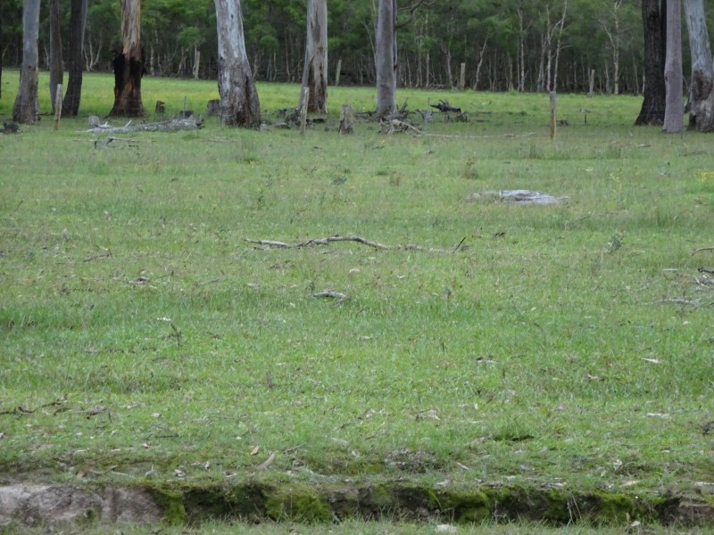 Lot Lot 32, 33 Forest Glenn Road, Limeburners Creek NSW 2324