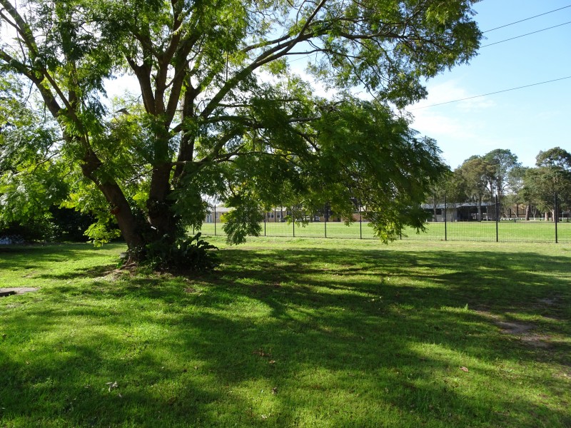 33 Kingston Parade, Raymond Terrace NSW 2324