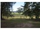 1425 Clarencetown Road, Seaham NSW 2324