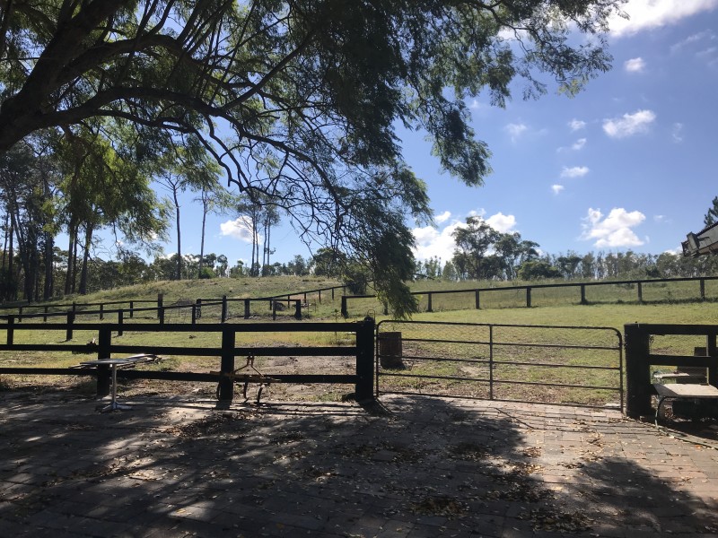 340 Cabbage Tree Road, Williamtown NSW 2318