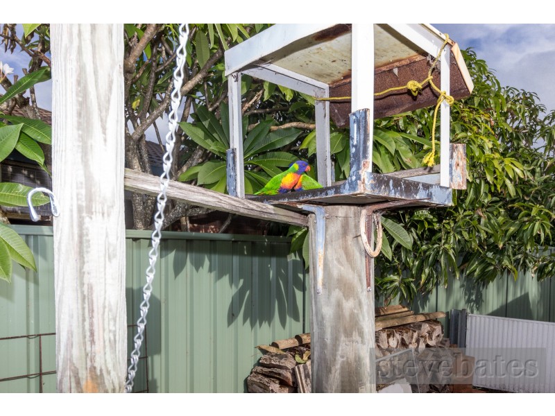 24 Anne Street, Raymond Terrace NSW 2324