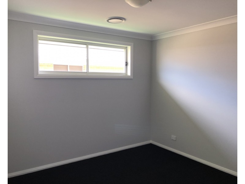 66 Tarragon Way, Chisholm NSW 2322