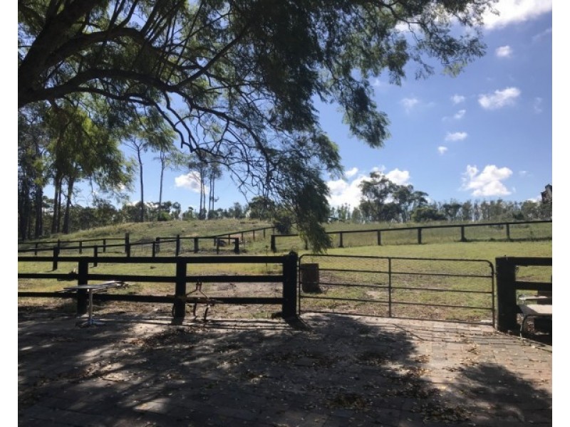 340 Cabbage Tree Road, Williamtown NSW 2318