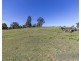 149 Horns Crossing Road, Vacy NSW 2421