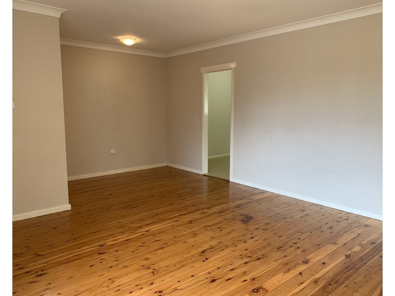 19 Casuarina Avenue, Medowie NSW 2318