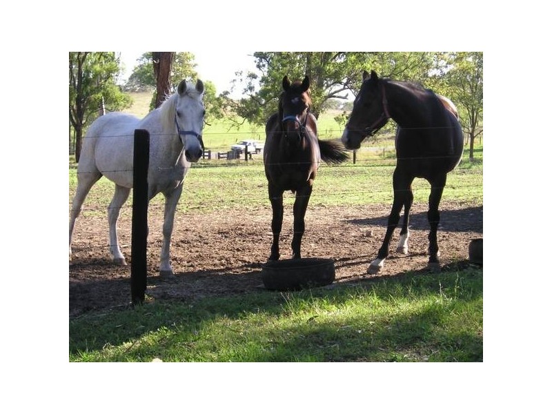 1203 Clarence Town Road, Seaham NSW 2324