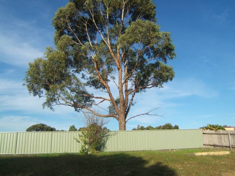 17 Oxley Close, Raymond Terrace NSW 2324