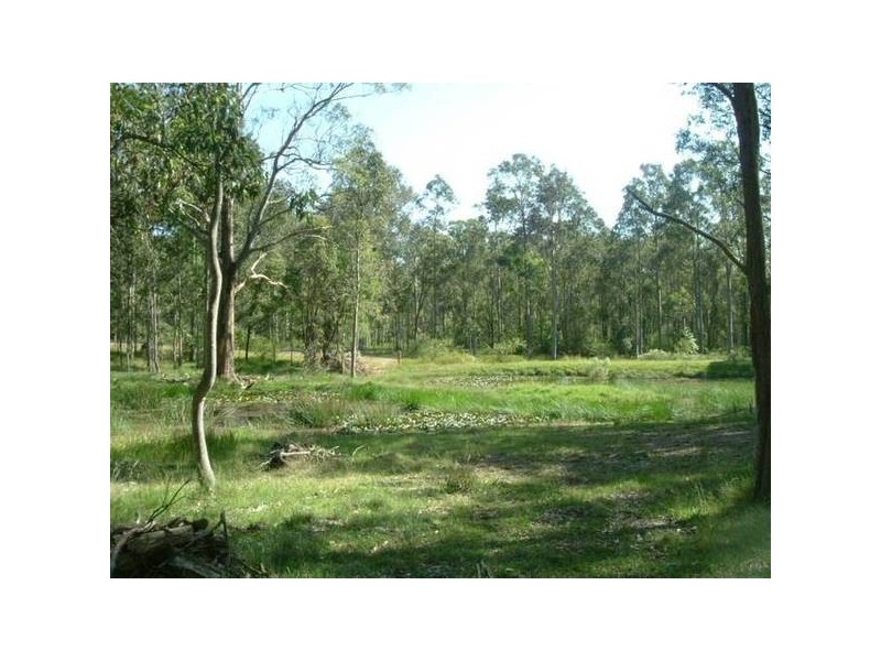 Nelsons Plains NSW 2324