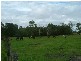 272 Swan Bay Road, Swan Bay NSW 2324