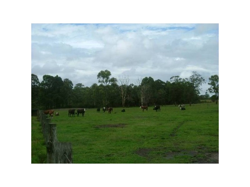 272 Swan Bay Road, Swan Bay NSW 2324