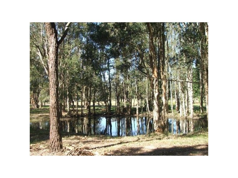 10 Barrie Close (Rural Listing), Williamtown NSW 2318