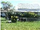 112 Cabbage Tree Road, Williamtown NSW 2318