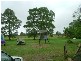 431 Cabbage Tree
Road – Residential Listing, Williamtown NSW 2318