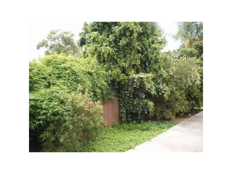 112 Mount Hall Road, Raymond Terrace NSW 2324