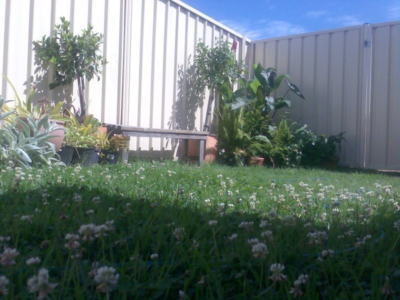 9/28 Gwen Parade, Raymond Terrace NSW 2324