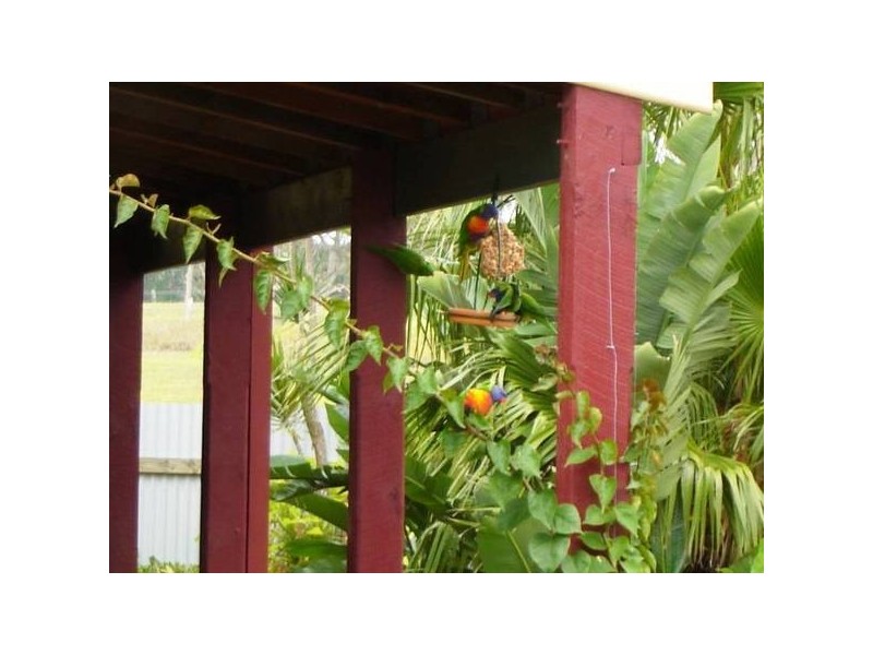 14 Sophia Jane Drive, Seaham NSW 2324