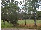 426 Swan Bay Road, Swan Bay NSW 2324