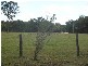 426 Swan Bay Road, Swan Bay NSW 2324
