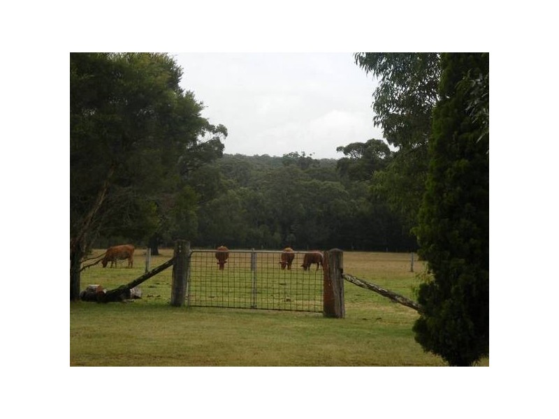 426 Swan Bay Road, Swan Bay NSW 2324