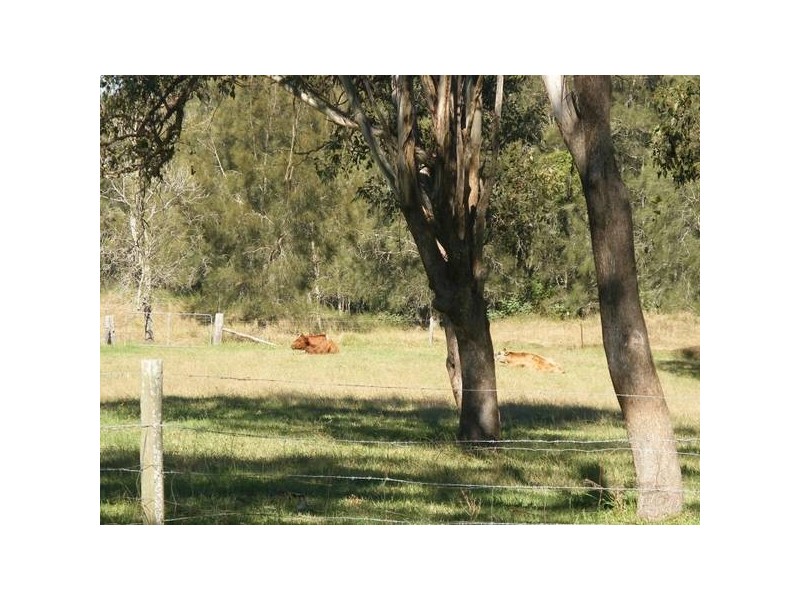 Lot 4 Wighton Street, Seaham NSW 2324