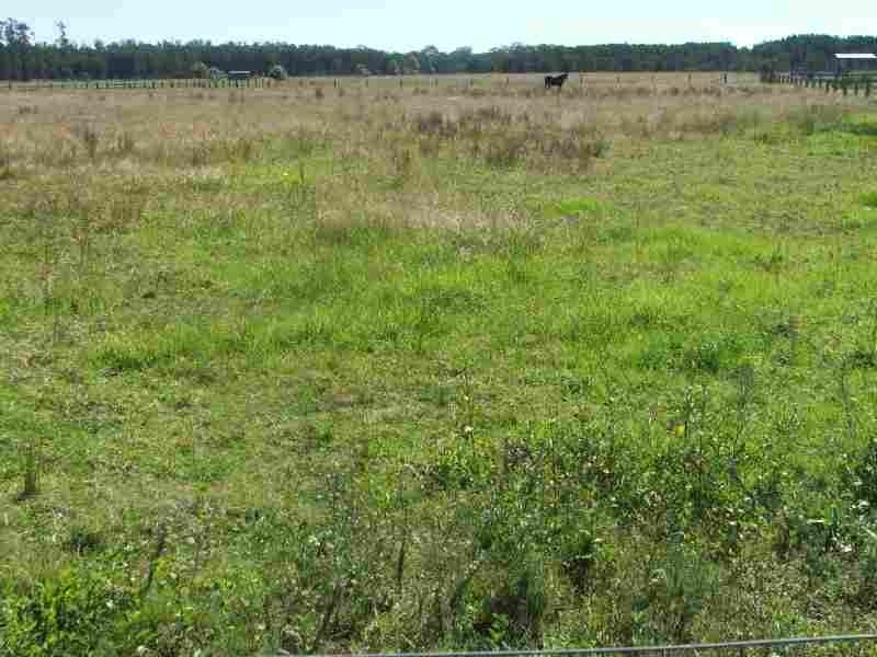 110 & 112 Cabbage Tree Road, Williamtown NSW 2318