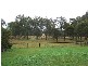 1 Grape Street, Seaham NSW 2324