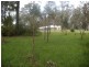 4 Southesk Drive, Seaham NSW 2324
