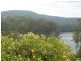 18 Myall Street, Allworth NSW 2425
