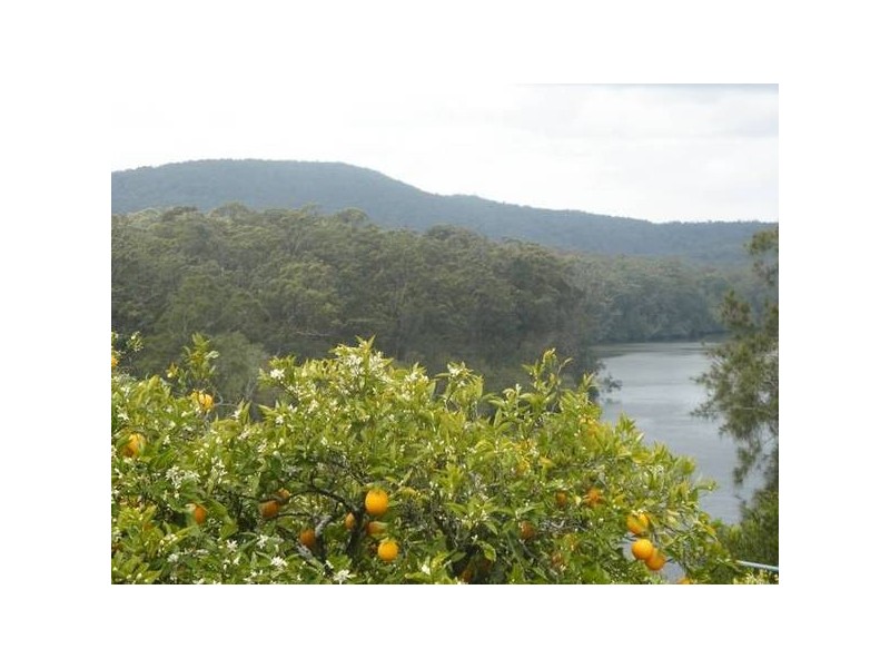 18 Myall Street, Allworth NSW 2425