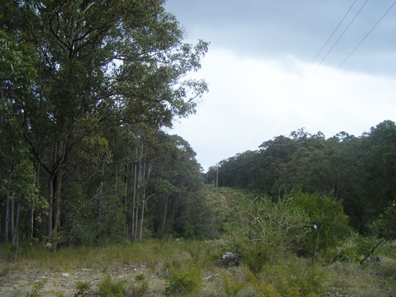 5 The Bucketts Way, Allworth NSW 2425